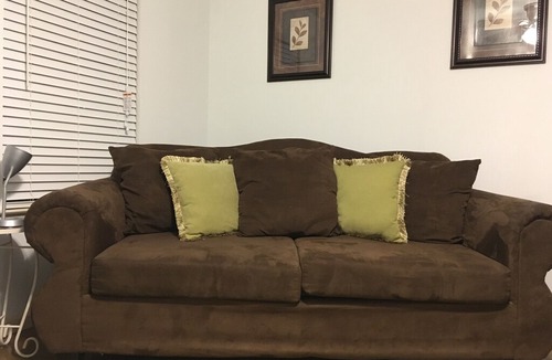 Conway Apartment | Just Dazzling in Conway