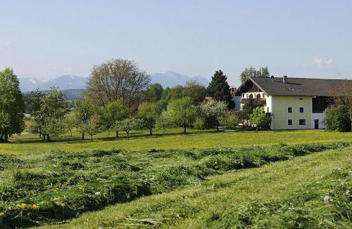 Hoslwang Apartment | Köllhof