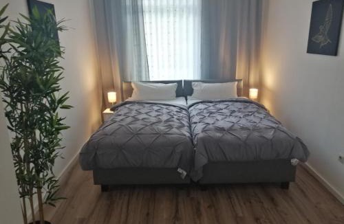 Kalk Apartment | Kölsche Wohnung 2C