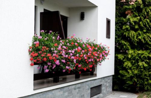 Copacelu House | K'RAMAN