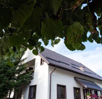 Copacelu House | K'RAMAN