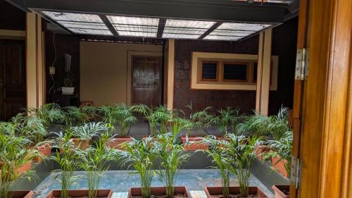 Mananthavady House | Kabani Villa