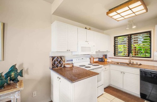 Lihue Condo | Kaha Lani - 5BR Oceanfront - Sleeps 14