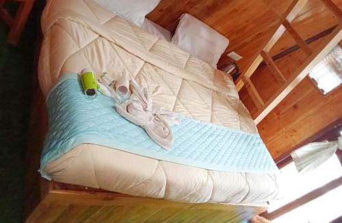 New Manali Resort | Kaira huts