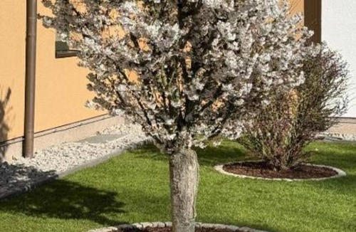 Feldberger Seenlandschaft Apartment | Kaiserhof Feldberg Belvilla Resorts-standard Suite