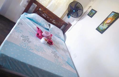 Minca Cabin | Kakuna Lodge