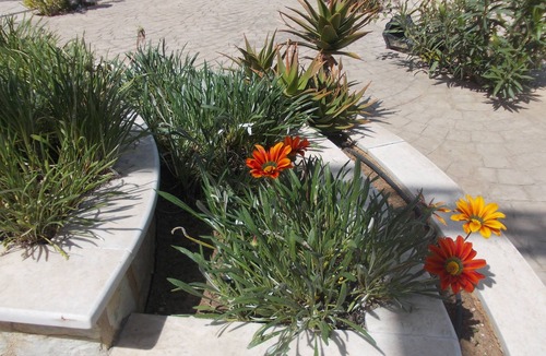 Kalogria Apartment | Kalogria Beach Apartments