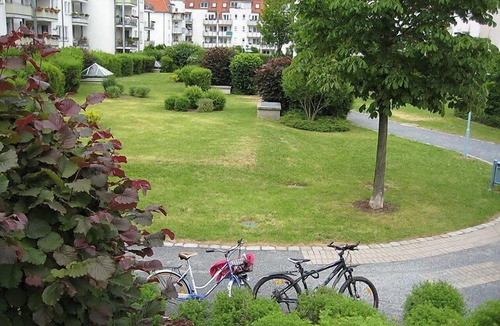 Laubegast Apartment | Kamelienweg by Interhome