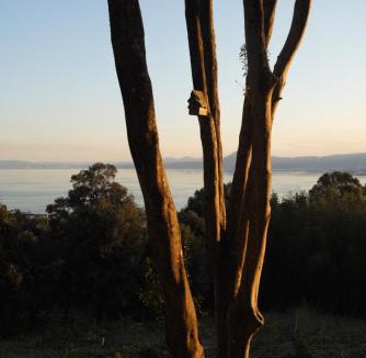 Hiji Villa | kamenos Luxury Resort With Beautiful Scenery Hiji