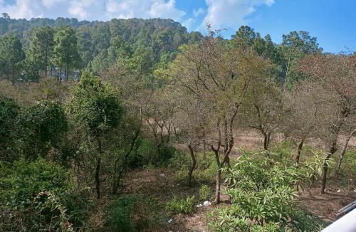 Kuthar House | Kasauli Night
