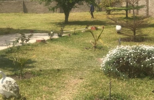 Choma Cabin | Kavango Dachils Lodges Ext2