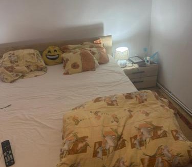 Alba Iulia Apartment | Kay Borsa