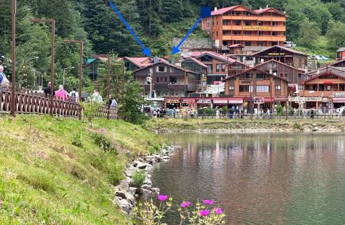 Uzungol Apartment | KAYA SUiT