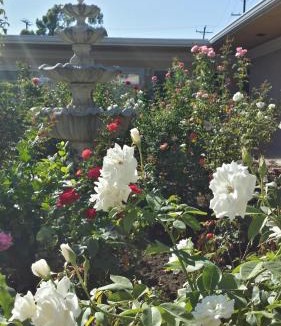 Harbor Hotel | Kearney Motel