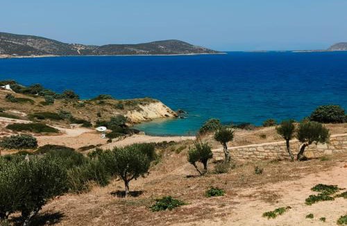 Lipsoi Villa | Kedros