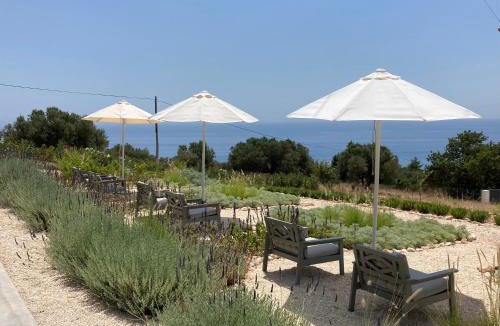 Mousata Villa | Kefi Spitia