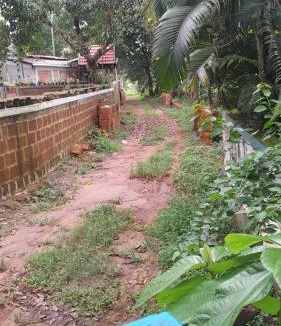 Talipparamba House | Kenoth Thaliyil Mana