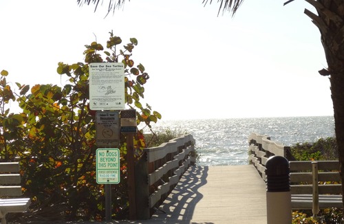 Indian Rocks Beach House | Key West Style Townhome Intercoastal Waterviews!