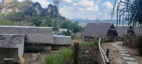 Khlong Sok Resort | Khao Sok Moon Light Hill Camp