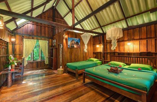 Khlong Sok Cabin | Khao Sok Riverside Cottages