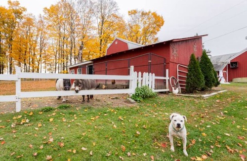Fort Edward House | Kid-Friendly Camping - 15 minutes to Six Flags!