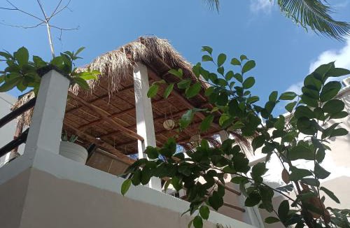 Zazil-ha House | Kika Studios
