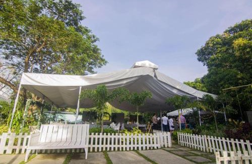 Philippines Other | kikyo