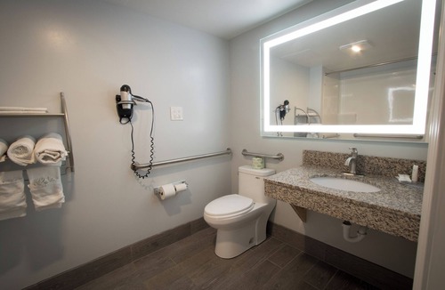 Henderson Hotel | King Accessible Non-Smoking Pet Friendly