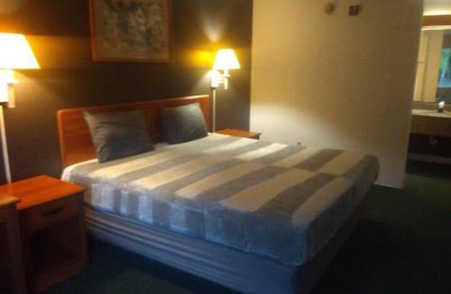 Livingston Apartment | King Bed Hotel Studio 117