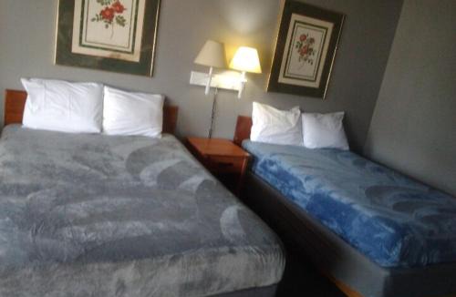 Livingston Apartment | King Beds Hotel Studio 136