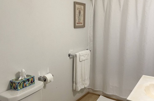 Mohawk Resort | King Lodge Room 1 in perfect Parrottsville TN