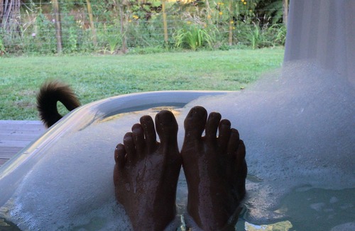 Katikati Cottage | Kingfisher cottage @ Villa Vie country estate. Outdoor bath, fire pit, river