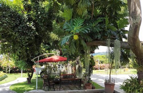 Beverly Hills Hotel | Kingston Cottage