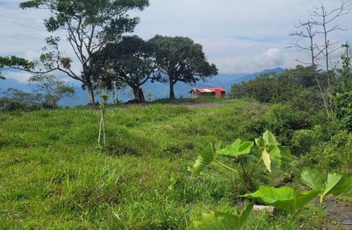 Vergara House | kiosko Rancho Pacho
