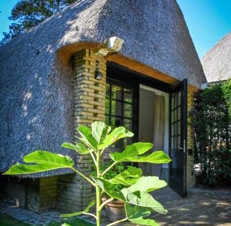 Warnsveld Bed & Breakfast | Kleine Buur