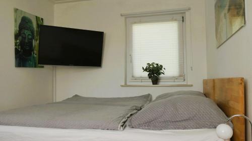 Schollbronn Apartment | Kleiner Elefant