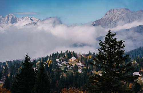 Kamnik Ski Chalet | Koča Žafran - Velika planina