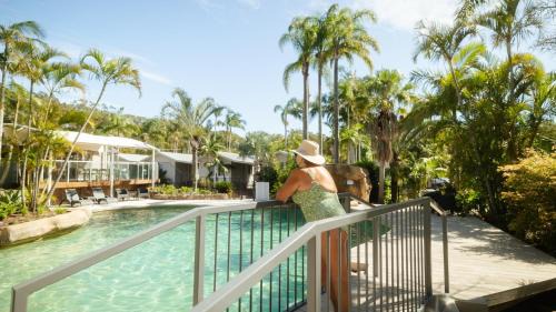 Lemon Tree Passage Resort | Koala Shores Holiday Park
