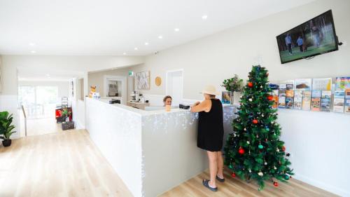 Lemon Tree Passage Resort | Koala Shores Holiday Park