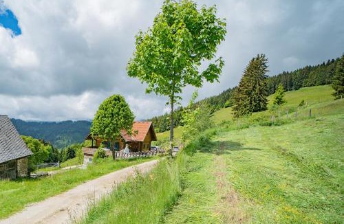 Wolfsberg House | Kogljahrerhütte