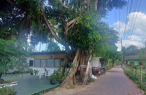 Ko Mook House | Kohmook treehouse