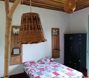Pijao House | Koniminto