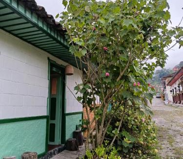 Pijao House | Koniminto