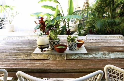 Coogee Apartment | Kookaburra down