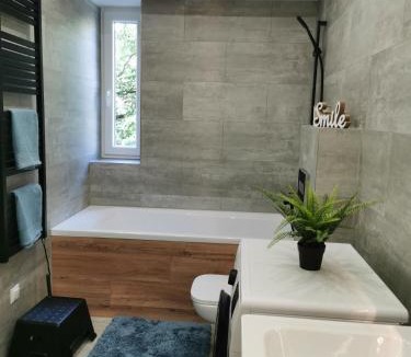 Dunaujvaros Apartment | Kossuth 10