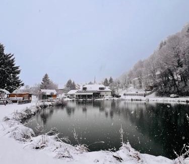 Cerklje ob Krki Hotel | Kozjanski dvor