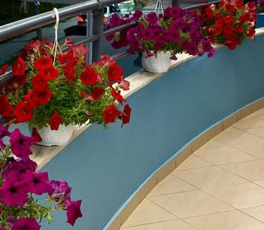 Vlore Apartment | Kristeo