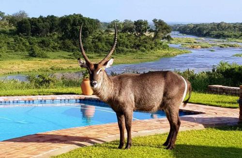 Marloth Park Ski Chalet | Kruger View Tree House