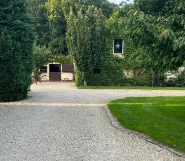 Valdorf Apartment | Kuhlmanns Hof