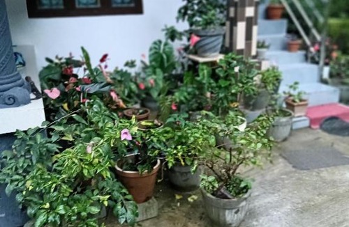 Kakabe House | Kund saty
